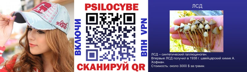 omg вход  дарнет шоп  сайты даркнета официальный сайт  Псилоцибиновые грибы мухоморы  Приморск 
